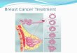 Breast Cancer Treatment - WordPress.com€¦ · Breast Cancer Treatment. Treatment 2 aspects 1.Treatment of the breast itself: ... The new treatment or approach being studied may