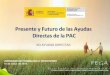 AYUDAS DIRECTAS DE LA POLÍTICA AGRARIA COMÚNaniade.es/aniade/wp-content/uploads/2019/05/... · • Disposiciones horizontales: agricultor activo, actividad agraria y reducción