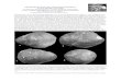 Paläontologische Notizen über einige seltene Brachiopoden ... Eifel.pdf · Paläontologische Notizen über einige seltene Brachiopoden aus dem Mitteldevon der Eifel von Dipl.-Ing