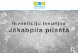 Investīciju iespējas Jēkabpils pilsētā · ATBALSTA INSTRUMENTI Pieejamas teritorijas industriālu objektu izveidei ar nodrošinātu nepieciešamo infrastruktūru ... kokapstrādes