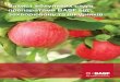 Захист яблуневих садів препаратами BASF від ......< Захист приросту листка завдяки повторному перерозподілу