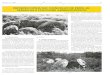 viladonga.xunta.gal · O traballo de prospección: os túmulos megalíticos Para efectua-la prospección do Conce- ... a construcción da estrada de Lugo á Coruña (ver tamén F.Arias