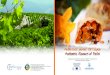 Authentic flavours of Pafos€¦ · PAFOS REGIONAL BOARD OF TOURISM 7, Athinon & Alexandrou Papagou Avenue, Tolmi Court 101 P.O.Box 60082, 8100 Pafos, Cyprus Tel. +357 26818173 Fax