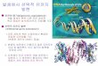 발생에서선택적유전자 발현 - KOCWcontents.kocw.net/KOCW/document/2015/seowon/... · 발생에서선택적유전자 발현 유전체등가성(genomic equivalence) : 개별체세포핵은다른모든체세포