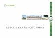 LE SCoT DE LA REGION D’ARRAS · 2016-01-12 · 12 Le territoire du SCoT de la région d’Arras: 3 intercommunalités 41 communes 104 000 habitants La ville d’Arrasreprésente