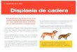 6 Displasia de cadera - axonveterinaria.netaxonveterinaria.net/.../1/1_Displasia_de_cadera.pdf · Displasia de cadera Aunque parezca más típica de razas grandes puede afectar a