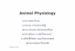 Animal physiology - rmutphysics · October 29, 2007 สรีรวิทยา (Physiology) • Physiology = Physiologia(Latin) = Natural Science • Physiology = a branch of biology