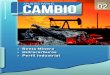Renta Minera › Hidrocarburos › Perﬁ l Industrialminingpress.com/media/briefs/apuntesparaelcambio_numero2_50.pdf · metalífera en la Argentina. Renta minera y distribución