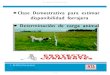 Clase demostrativa para estimar disponibilidad forrajera y )produccion-animal.com.ar/produccion_y_manejo... · La disponibilidad total de la pastura muestreada es de 6957 kg de Materia