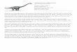 Alamosaurus sanjuanensis - Austin, Texas · 2020-02-20 · Alamosaurus sanjuanensis Giant Sauropod Dinosaur Humerus TMM 41398-2 Femur TMM 41541-1 Javelina Formation, Cretaceous Big