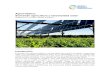 Agrovoltaica: Sumando agricultura y electricidad solar...Agrovoltaica: Sumando agricultura y electricidad solar Plataforma por un Nuevo Modelo Energético Imagen de I n tr o d u c