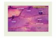 Célulasda epidermeinterna da escama Alliumcepa núcle ...azolla.fc.ul.pt › aulas › documents › celEpid_Cebola.pdf · Presentation1 Author: Francisco Carrapiço Created Date: