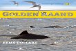 EEMS-DOLLARD - Het Groninger Landschap · 2020-05-01 · De EemsDollard leeft: van microscopisch kleine kiezelwieren, tot tientallen vissoorten, zeehonden en bruinvissen. Ontelbare