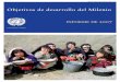 Objetivos de desarrollo del Milenio - FLACSOANDES · declaración del Milenio y los Objetivos de Desarrollo del Milenio, ambos se han convertido en un marco de trabajo universal para