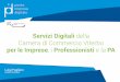 Servizi Digitali della Camera di Commercio Viterbo · AGENDA DIGITALE CONTESTO DI RIFERIMENTO / 1di2 L'Agenda Digitale Europea è uno dei 7 pilastri della Strategia “Europa 2020”,