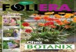 Plantes et fleurs Foliera chez Botanix · 2020-06-17 · Vos clients ont besoin d’inspiration! Solanum rantonnetii* *Le produit peut différer de la photo. 11 Beautés fleuries