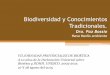 Biodiversidad y Conocimientos Tradicionales · 2015-10-13 · Artículo 17 Protección del Medio Ambiente, la Biosfera y la Biodiversidad •Se habrán de tener debidamente en cuenta
