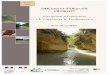 Zone Spéciale de Conservation « L’Ouvèze et le …carmen.application.developpement-durable.gouv.fr/IHM/...Superficie officielle (FSD) du site Natura 2000 au titre de la Directive