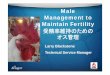 Final, Male Management to Maintain Fertility › wp-content › uploads › 2015 › 09 › ...Final Selection (18-22 weeks) 最終選抜（18－22週齢） 18-25 Week Period– Male