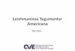 Leishmaniose Tegumentar Americana - Lupus eritematoso discأ³ide Vasculites Sarcoidose أڑlcera de estase