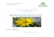 ARNESikoros2/za prenos na splet/ZdrRastline… · Web viewNavadna Arnika/Gorska Arnika (Arnica montana) je zaščitena zdravilna rastlina. Rastlina je iz družine nebinovk (Asteraceae)