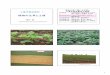 植物の生育と土壌 - xdomaintimetraveler.html.xdomain.jp/pdf/DSE1.pdf土壌動物・微生物 （分解作用） 周辺の植物との 競争・助け合い 多感作用 作物の育ち方