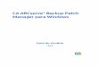 CA ARCserve® Backup Patch Manager para Windowsdocumentation.arcserve.com/Arcserve-Backup/... · Introdução 10 Guia do Usuário Recurso para gerar relatórios que exibem o estado