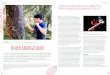 In den Baum geschaut - Young Scienceyoung-science-magazin.com › ... › 2016 › 07 › YoungScience_6_IndenB… · [5] Körner, C. (2012) Alpine treelines. Functional ecology of
