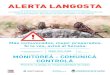 LANGOSTA - Argentina€¦ · ALERTA LANGOSTA Prevenir la plaga es responsabilidad de todos LA LANGOSTA PUEDE TRASLADARSE A GRANDES DISTANCIAS Y ALIMENTARSE DE CASI CUALQUIER VEGETAL,