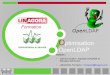 Les annuaires LDAP - Optimisation du logiciel OpenLDAPwiki.deimos.fr/images/5/57/FOR-LINAGORA... · Performances & architecture permettant d’obtenir des charges extrêmes : –