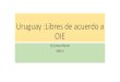 Uruguay :Libres de acuerdo a OIE...Fiebre Aftosa Aphtovirus 22/5/2003 Peste Porcina Clásica Pestivirus 28/5/2019 Perineumonía Contagiosa Bovina Mycoplasma mycoides 28/5/2019 Peste