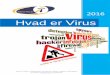 Hvad er Virus - newtechit.dknewtechit.dk/images/Artikler/PDF-filer/Hvad er virus.pdf · til denne ene er som du kan læse mere om i denne guide at virus kan gemme sig i software som