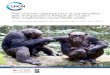 Plan d’action pour la conservation des chimpanzés d’Afrique de … › library › sites › library › files › ... · 2020-06-24 · À propos de l’UICN L’UICN, Union