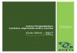 Curso Propedéutico Lectura, expresión oral y escritacbtis212.com.mx/PROGRAMAS/lectura_16.pdf · Curso propedéutico | Ciclo 2016-2017 | Lectura, expresión oral y escrita 4 Representantes