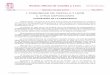 Boletín Oficial de Castilla y Leóntransparencia.jcyl.es/Presidencia/CircularSistema... · 27 de diciembre, de racionalización y sostenibilidad de la Administración Local, para