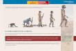 Evolución del hombre. EL POBLAMIENTO DE AMÉRICAelbibliote.com/.../002_012_pueblos_indigenas_el_poblamiento_de_am… · EL POBLAMIENTO DE AMÉRICA El conocimiento acerca del poblamiento