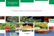 Agricultura orgânica no Brasil: um estudo sobre o Cadastro ... · Agricultura orgânica no Brasil um estudo sobre o Cadastro Nacional de Produtores Orgânicos 11 • Certificação