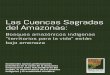 Las Cuencas Sagradas del AmazonasÍndice 5 Resumen Ejecutivo 8 Introducción 10 La Amazonía: un bioma al borde del abismo 12 Las Cuencas Sagradas del Amazonas 16 El costo climático
