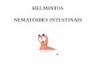 HELMINTOS NEMATÓIDES INTESTINAISifcursos.com.br/sistema/admin/arquivos/19-52-33... · 2013-06-11 · Síndrome de Loeffler (eusinófilos) - Intestino Lesões, Hemorragias Infecções