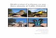 Biodiversitat d’avifauna en una · 2017-09-27 · Biodiversitat d’avifauna en una finca situada al Vallès Oriental 4 Cal destacar el recolzament i l’ajuda perseverant que he