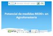 Potencial de medidas REDD+ en Agroforesteria2. Degradación de bosques 3. Incremento de reservas de carbono ... agroforesteria: Estudio de factibilidad para la estimación de reducción