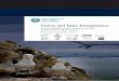 Faros del Mar Patagónico...Los Faros del Mar Patagónico, en la visión de las organizaciones con interés en la conservación de las especies y los ambientes de la región, son modelos