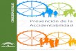 Prevención de la Accidentabilidad - Red Local de Acción ... · Campañas de promoción del uso del casco, el cinturón de seguridad y los mecanismos de retención. Acuerdos intersectoriales