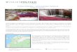 Caño Cristales – Una paraíso Terrenalproductos.grupoaviatur.com/.../new/cristales-2.pdf · Caño Cristales es considerado por muchos como el “Río más hermoso del mundo”