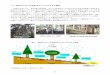 ＊9森林内における放射性セシウムの分布と動態 文部科学省では、東京電力福島第一原子力発電所から放出された放射性 … · （2）樹木中の放射性セシウム濃度の測定