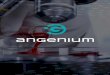 Бизнес - план проекта Angenium Angeniun Ru.pdf · Бизнес - план проекта Angenium. ... проекту рассчитаны по средним мировым