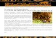 GNJaguar por GreenNoise: LA VOZ DE LOS FELINOS SILVESTRES ...eunicebrenes.weebly.com › uploads › 2 › 7 › 6 › 9 › 27696655 › gnjagua… · voz de los felinos es un tema