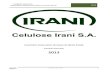 Sumário Executivo 2013 - Irani Papel e Embalagem S.A.irani.com.br/uploads/mediacenter/87c6423ebcc5343a4d4fcc... · 2016-12-20 · [SUMÁRIO EXECUTIVO INVENTÁRIO CORPORATIVO GASES