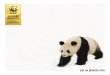 por un planeta vivoawsassets.panda.org/downloads/wwf_50_aniversario_esp_1.pdf · 2012-10-04 · panda gigante y las grandes ballenas salvadas de una extinción se-gura, bosques y