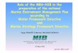Role of the MBS-NIB in the preparation of the national Marine Marine … · 2011-07-01 · • Preparation of the initial assessment of marine waters,accordingto theanalysisofelementsofTabs